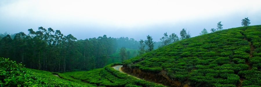 Top 7 Best Places to Visit in Monsoon across India